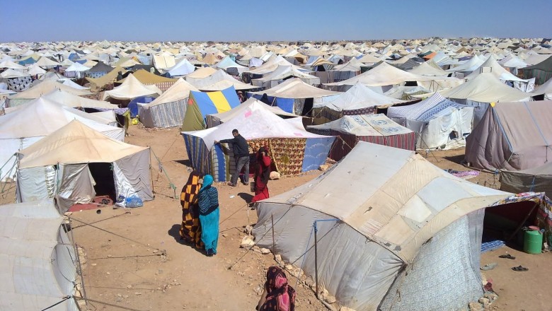 كاتب إسباني : البوليساريو عدوة للتعددية وللحريات الفردية والمجتمع المدني