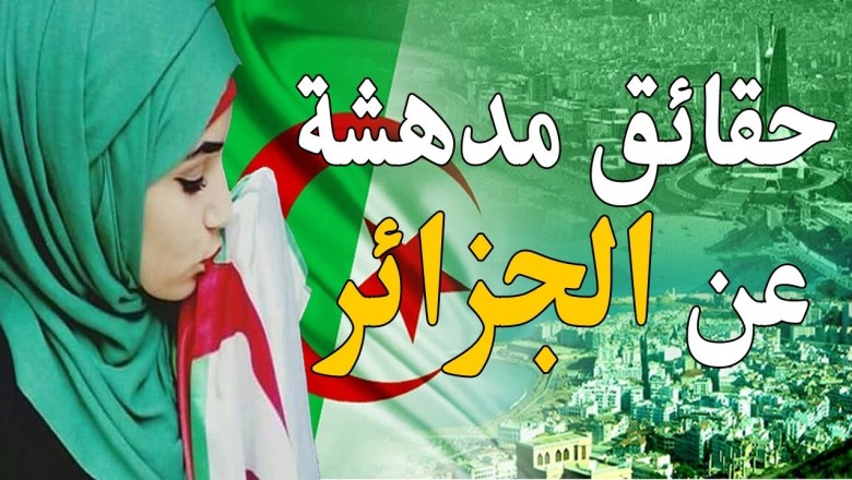 الجزائر لا تتوفر على مقومات الدولة 