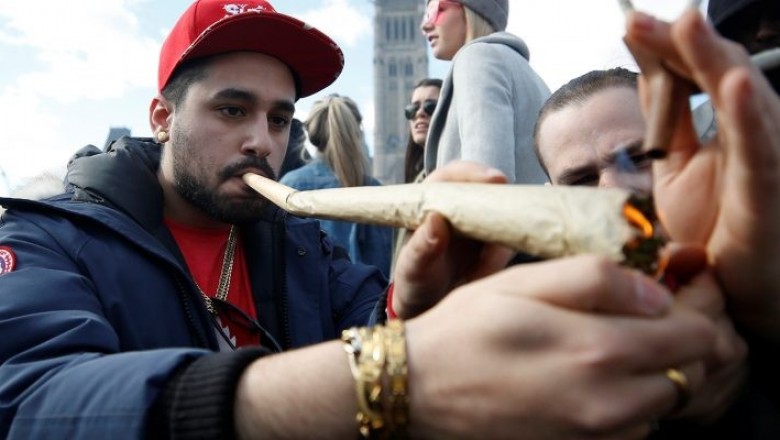 مطلوب 5 حشايشية لشغل وظائف بسعر مغري  بشركة Ahlot المتخصصة في صناعة الحشيش ومشتقاته  في كندا!