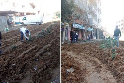 في الجزائر.. مواطنون يزرعون البصل والبطاطا في الشارع احتجاجا على وضعية الطريق